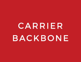 CARRIER BACKBONE CABLING SERVICE