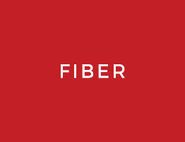 fiber passive optic network service company